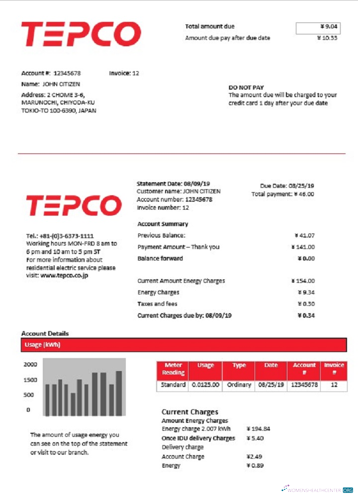 download Japan Tokyo Electric Power Company electricity utility bill template in Word and PDF format PDF template